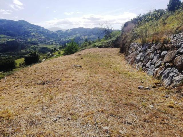 Terreno en venta en Candamo, Fenoyeda
