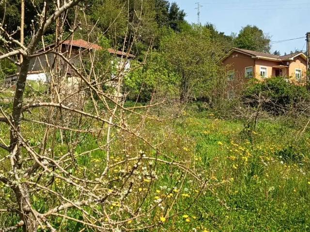 Terreno en venta en Candamo, Asturias