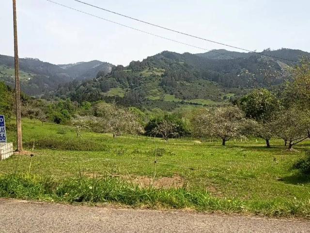 Terreno en venta en Candamo, Asturias