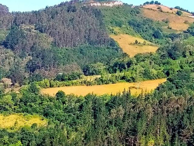 Terreno en venta en Candamo, Asturias