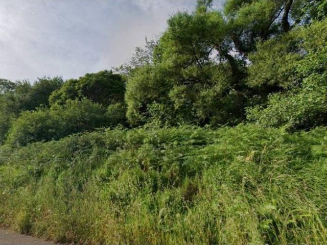 Terreno en venta en Candamo, Asturias
