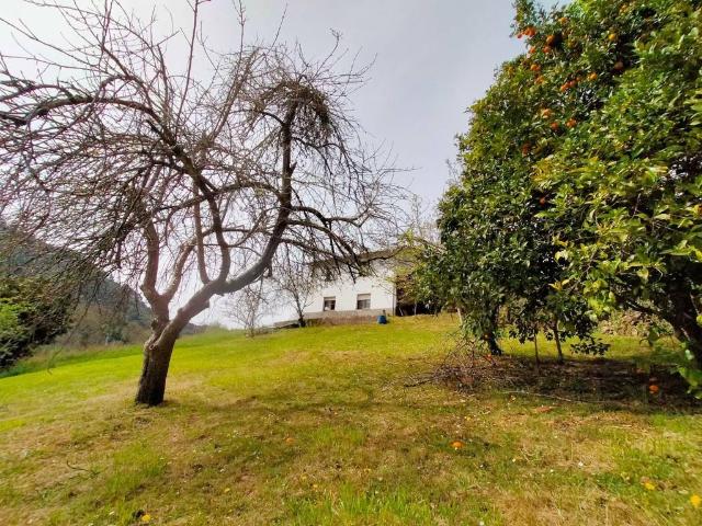 Terreno en venta en Candamo, San Román