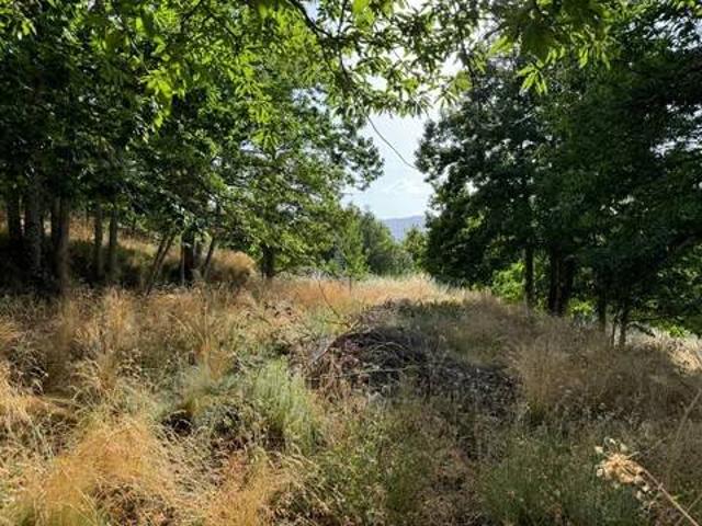 Terreno en venta en Candelario, Castilla y León