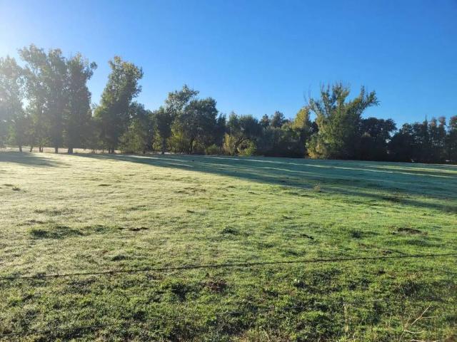 Terreno en venta en Candeleda