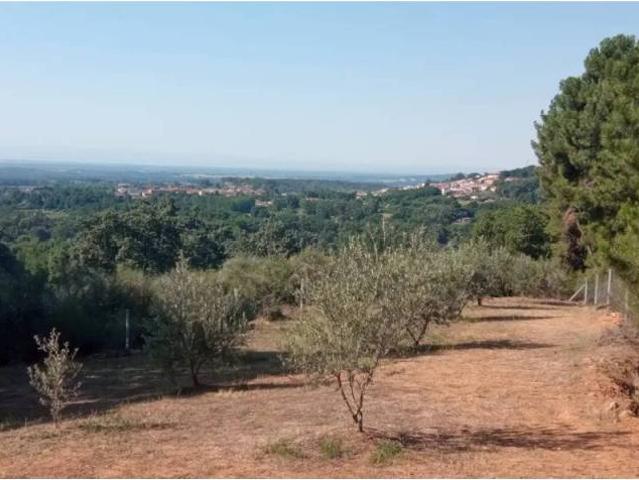 Terreno en venta en Candeleda, Castilla y León