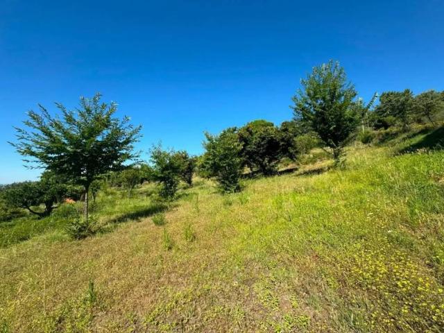 Terreno en venta en Candeleda, Castilla y León