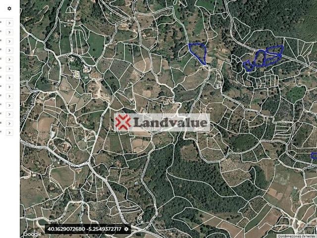 Terreno en venta en Candeleda, Castilla y León