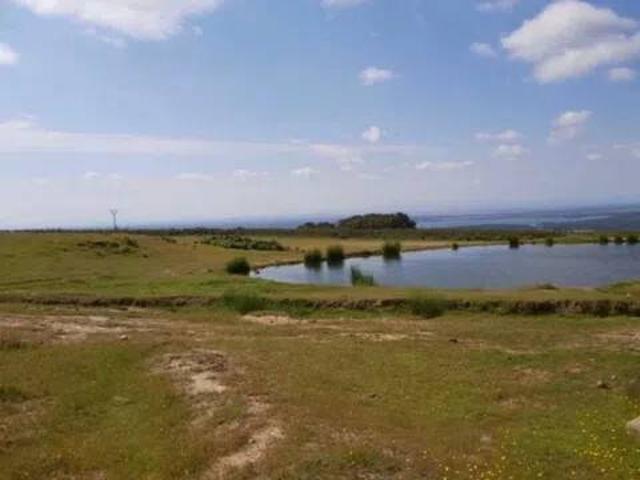 Terreno en venta en Candeleda, Castilla y León