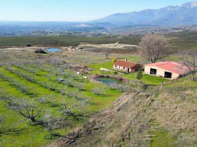 Terreno en venta en Candeleda, Ávila