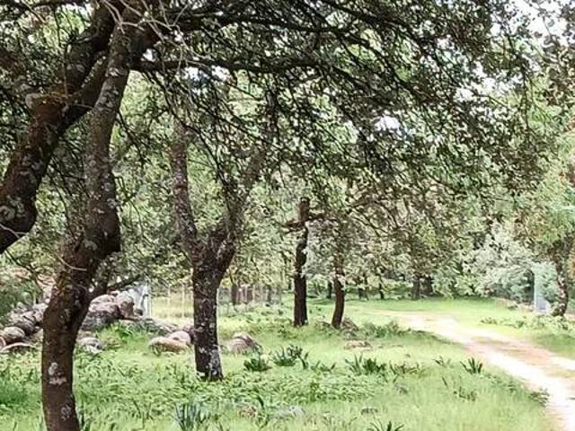 Terreno en venta en Candeleda, Castilla y León