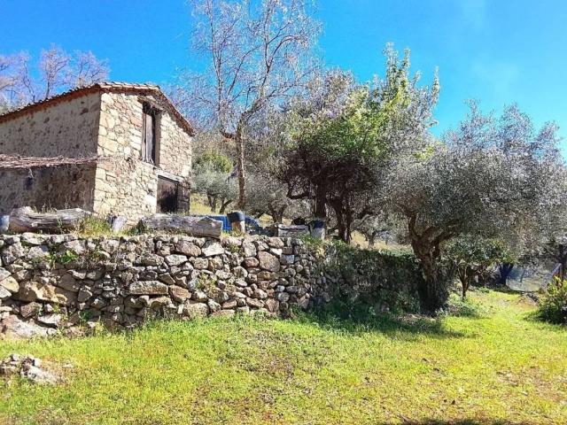 Terreno en venta en Candeleda, Castilla y León
