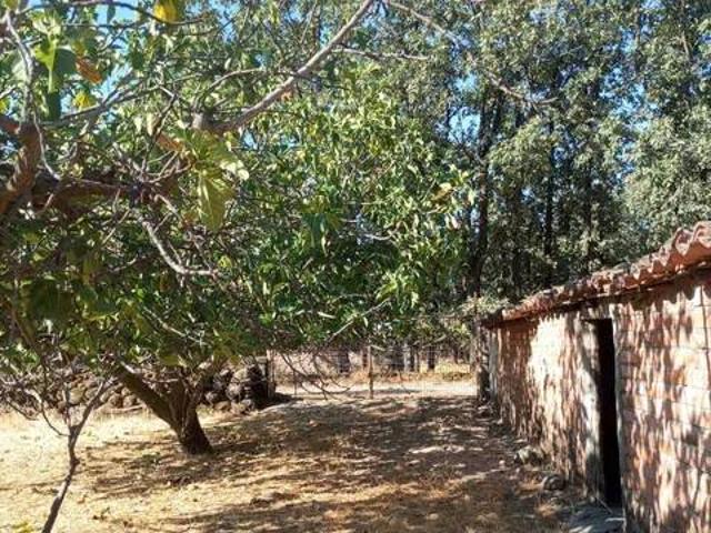 Terreno en venta en Candeleda, Castilla y León
