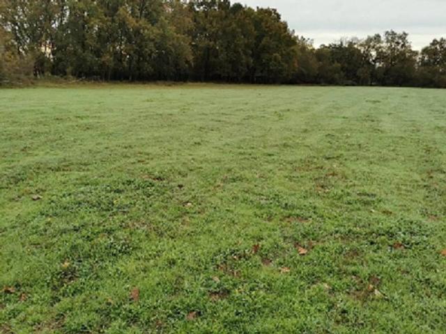 Terreno en venta en Candeleda, Ávila