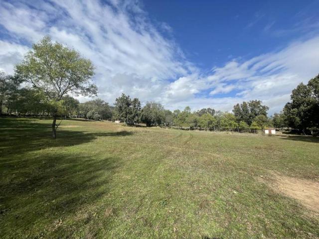 Terreno en venta en Canencia