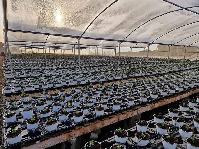 Terreno en venta en Maresme, Catalunya