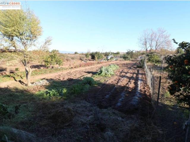 Terreno en venta en el Camp de Morvedre, Valencia