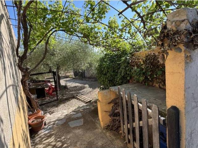 Terreno en venta en el Baix Maestrat, Valencia