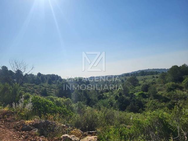 Terreno en venta en el Baix Maestrat, Valencia