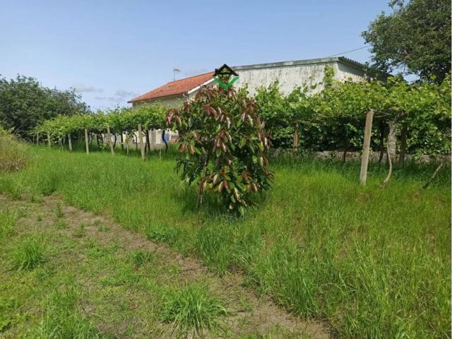 Terreno en venta en O Morrazo, Galicia
