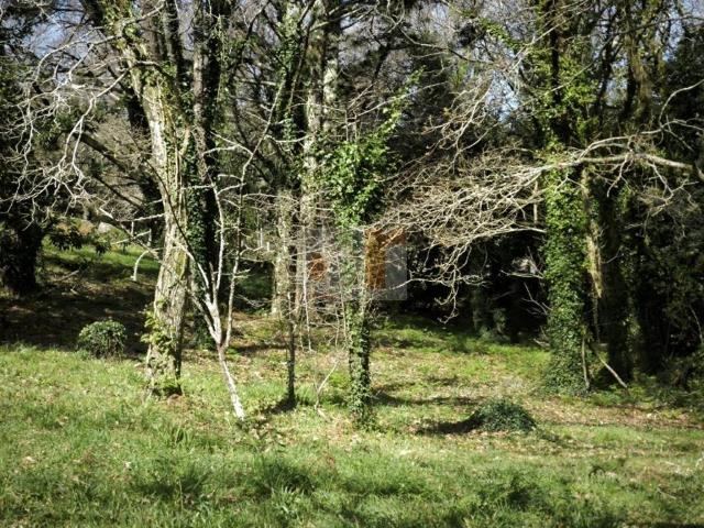 Terreno en venta en O Morrazo, Galicia