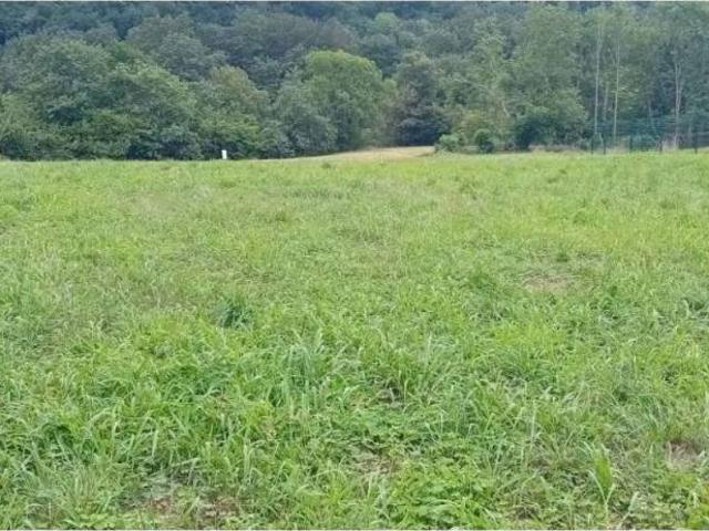 Terreno en venta en Cangas De Onís