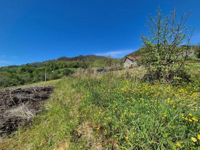 Terreno en venta en Cangas De Onís, Asturias