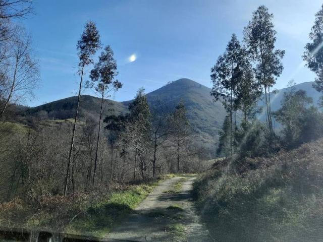Terreno en venta en Cangas De Onís, Asturias