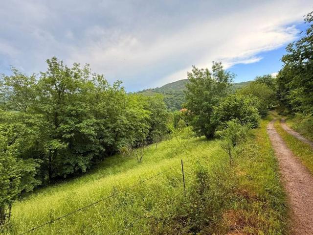 Terreno en venta en Cangas De Onís, Asturias