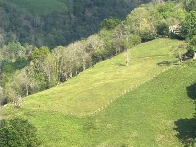 Terreno en venta en Cangas De Onís, Asturias