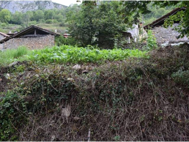 Terreno en venta en Cangas De Onís, Asturias