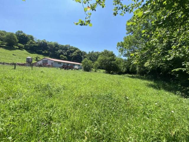 Terreno en venta en Cangas De Onís, Asturias