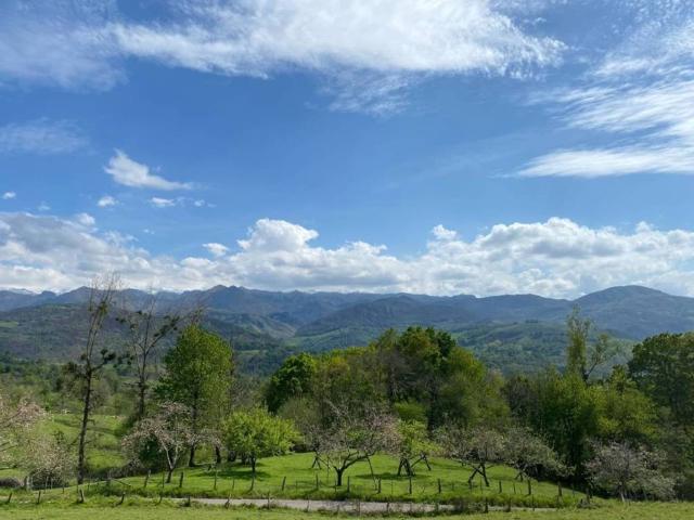 Terreno en venta en Cangas De Onís