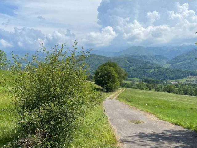 Terreno en venta en Cangas De Onís