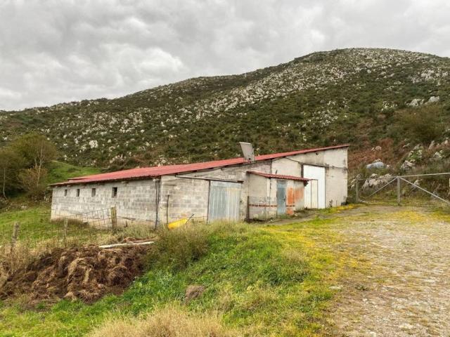 Terreno en venta en Cangas De Onís