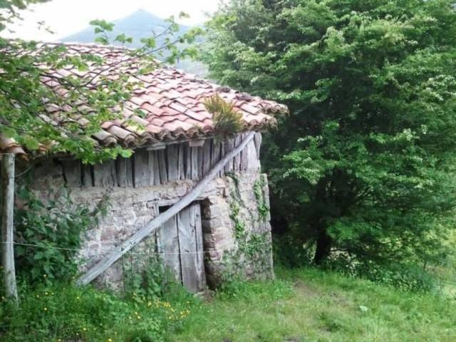 Terreno en venta en Cangas De Onís