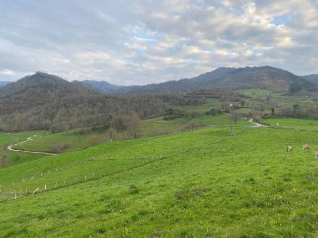 Terreno en venta en Cangas De Onís