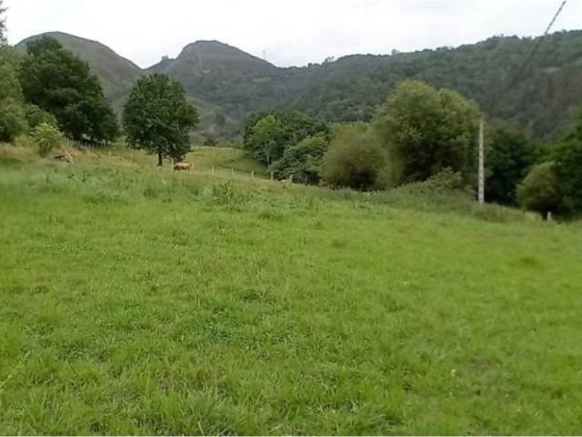 Terreno en venta en Cangas De Onís