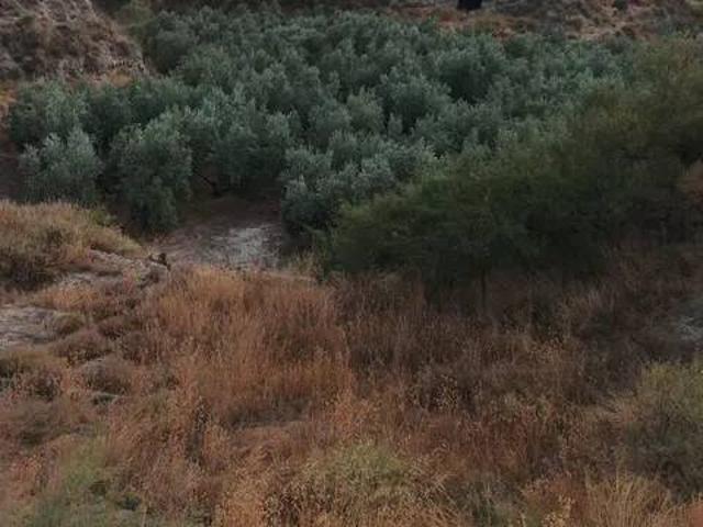 Terreno en venta en Comarca de Baza, Andalucía