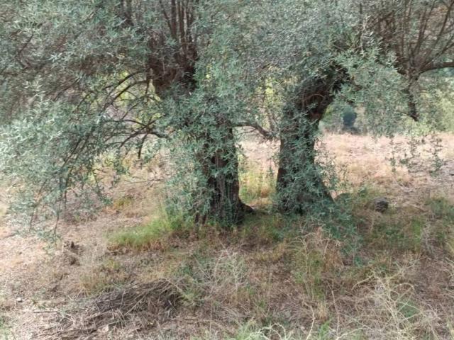 Terreno en venta en La Axarquía, Andalucía