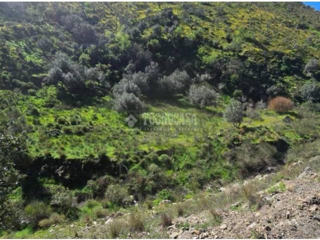 Terreno en venta en La Axarquía, Andalucía