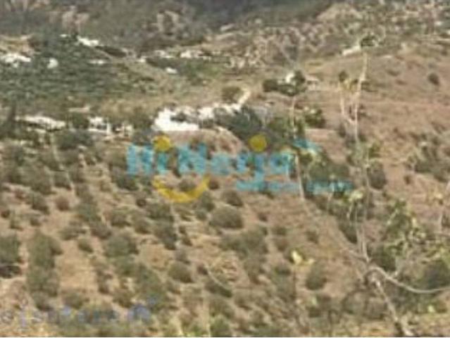 Terreno en venta en Canillas De Aceituno
