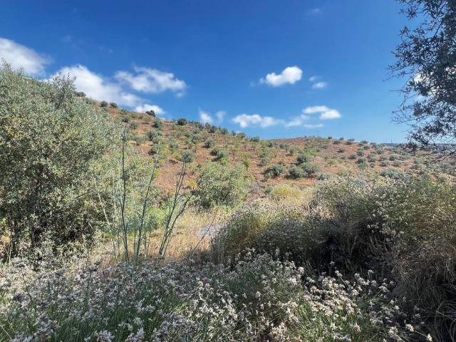 Terreno en venta en La Axarquía, Andalucía