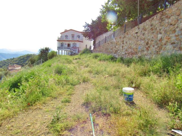 Terreno en venta en Canillas De Aceituno