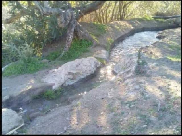 Terreno en venta en Canillas De Aceituno