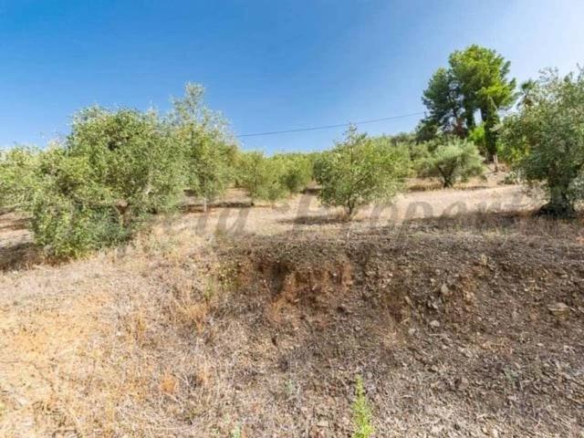 Terreno en venta en La Axarquía, Andalucía