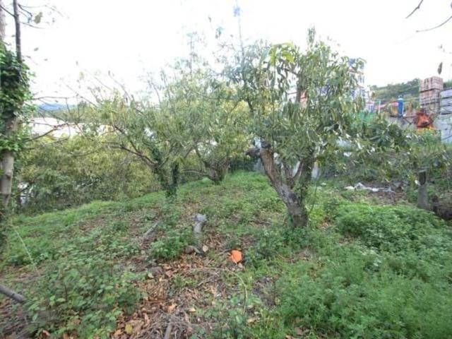 Terreno en venta en La Axarquía, Andalucía