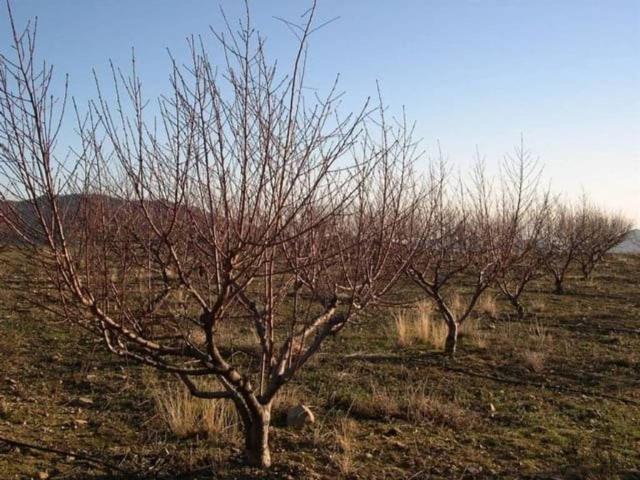 Terreno en venta en La Axarquía, Andalucía