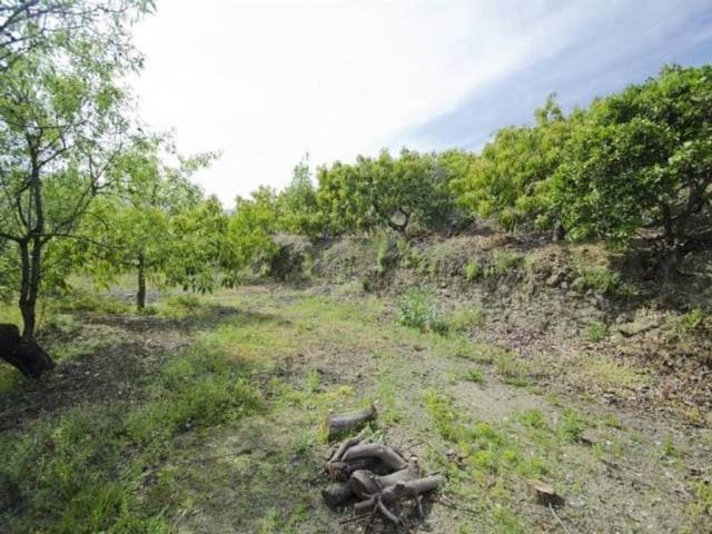 Terreno en venta en La Axarquía, Andalucía