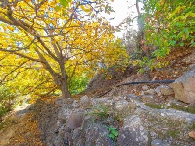 Terreno en venta en La Axarquía, Andalucía
