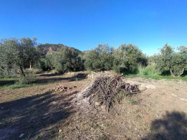 Terreno en venta en Canjáyar, Andalucía